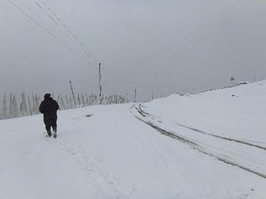 Tseten'S Inn Лачунг Экстерьер фото